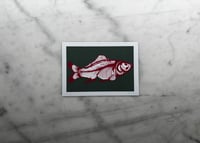 Image 2 of Carp - Green background with red bones