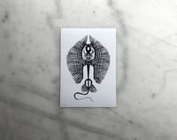 Image 2 of Stingray