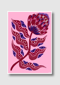 PROTEA FOLK