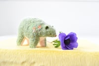 Image 1 of mossy mushroom bear