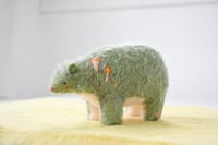 Image 4 of mossy mushroom bear