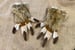 Image of Dino Handpaws