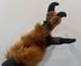 Image of Dino Handpaws