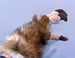 Image of Dino Handpaws