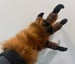 Image of Dino Handpaws
