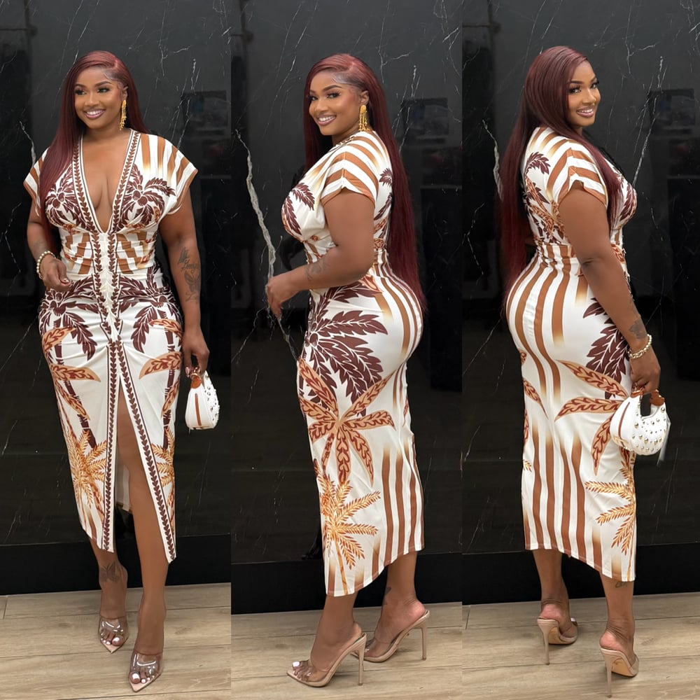 Image of LEGACY DRESS-brown 
