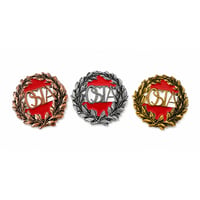 Image 1 of Austrian Sports Badge - Advanced