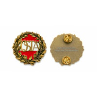 Image 4 of Austrian Sports Badge - Advanced