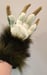 Image of Dino Handpaws