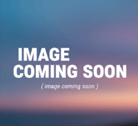 King of the silence  ( Digital music download )