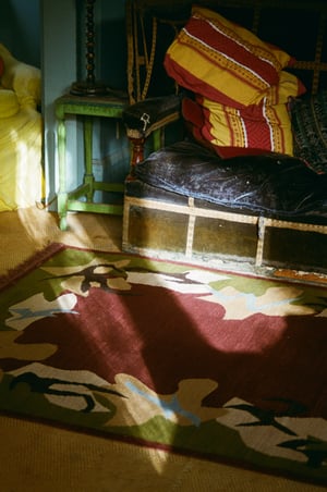 Image of Moving Shadow
