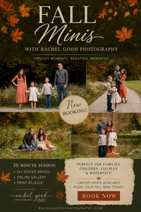 Image 1 of METRO PARKS Fall Minis 2026 • Retainer Payment