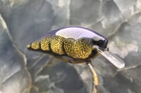 Image 2 of SPEEDBAITS Custom Airbrushed 2.5 Squarebill Crankbait 4471