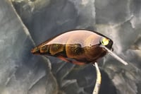 Image 6 of SPEEDBAITS Custom Airbrushed 2.5 Squarebill Crankbait 4483