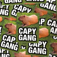 Capy Gang Stickers - 3 pack