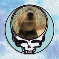 Gort Stealie Sticker - 3 pack