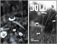 Voices in BOLD Issue 3 