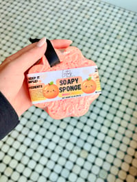 Image 1 of Soapy Sponge