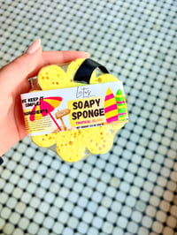 Image 2 of Soapy Sponge