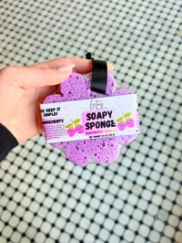 Image 3 of Soapy Sponge