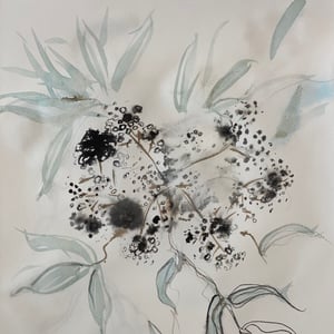 Image of SUNDAY, DRAWING FLOWERS WORKSHOP , 24 MAY, 2026