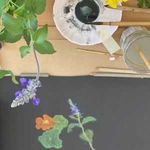 Image of SUNDAY, DRAWING FLOWERS WORKSHOP , 24 MAY, 2026