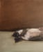 Image of Oiseau mort
