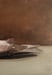 Image of Oiseau mort