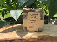 Wisdom:  Tallow and Moringa Powder Soap