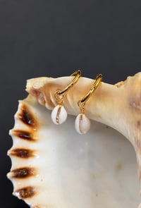 Image 3 of Mini cowrie hoops