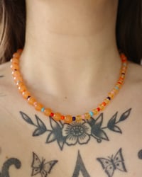 Image 1 of nerds rope - orange jade
