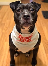 Image 1 of Dog bandana