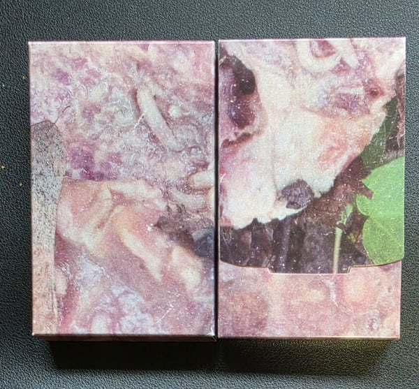 Image of Vicissitude/Pale Spektre - Split Cassette 