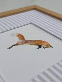 Image 2 of Leap
