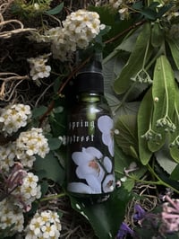 Image 4 of 𝔙𝔢𝔯𝔫𝔞𝔩 𝔈𝔱𝔢𝔯𝔫𝔞𝔩 ❦❧ Ephemerals & Rarities