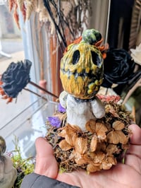 Image 1 of Pumpkin Patch Kid