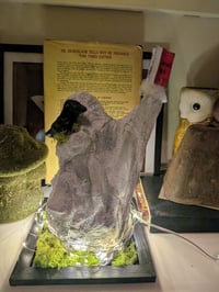 Image 2 of Crow Training Ghost