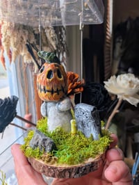 Pumpkin Patch Kid 2