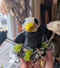 Image 1 of Crow Spookyboo