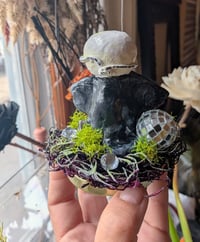 Image 2 of Crow Spookyboo