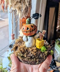 Pumpkin Patch Kid 3