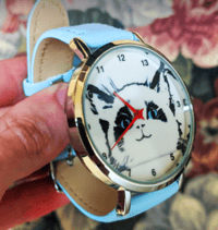 B Grade Cat Watch