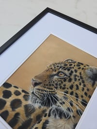 Image 2 of Instinct