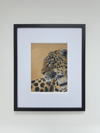Image 1 of Instinct