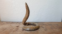 Image 1 of Medium Worm Ring Holder #1