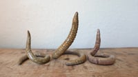 Image 2 of Medium Worm Ring Holder #1