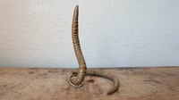 Image 2 of Medium Worm Ring Holder #2