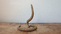 Image 1 of Medium Worm Ring Holder #2