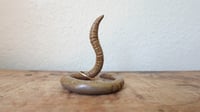 Image 3 of Medium Worm Ring Holder #4