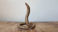 Image 1 of Medium Worm Ring Holder #4